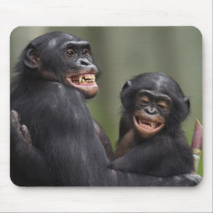 Twee glimlende bonobo's muismat