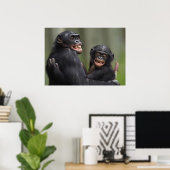Twee glimlende bonobo's poster (Thuiskantoor)