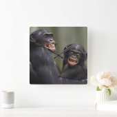 Twee glimlende bonobo's vierkante klok (Huis)