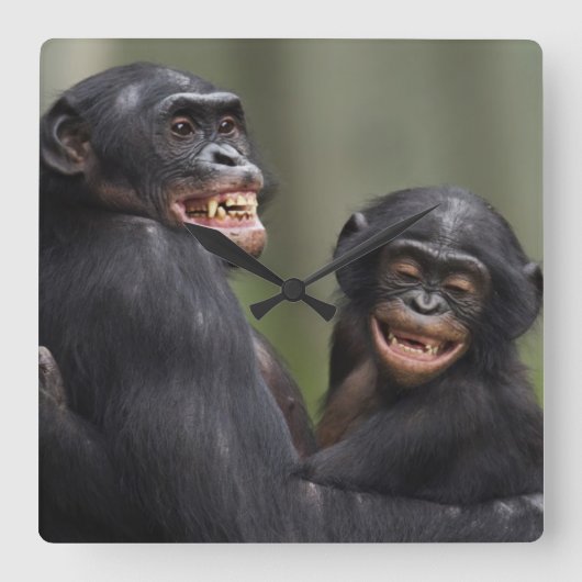 Twee glimlende bonobo's vierkante klok (Voorkant)