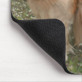 Twee glimlende Golden Retriever Dogs in het Park Muismat (Hoek)