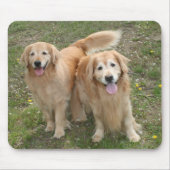 Twee glimlende Golden Retriever Dogs in het Park Muismat (Voorkant)
