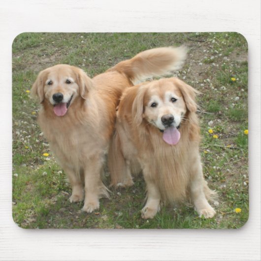 Twee glimlende Golden Retriever Dogs in het Park Muismat (Voorkant)