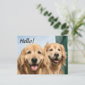 Twee glimlende Golden Retrievers Hallo Briefkaart (Staand voorkant)