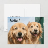 Twee glimlende Golden Retrievers Hallo Briefkaart (Voorkant / Achterkant)