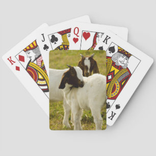 Twee Goats Boer Pokerkaarten