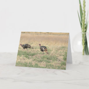 Twee Gobblers Feestdagen Kaart