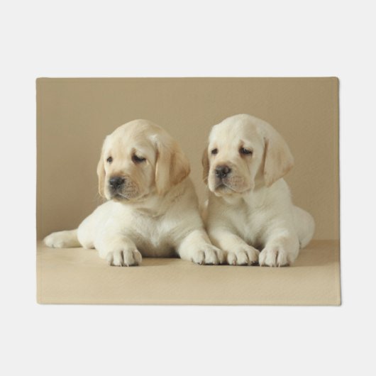 Twee Golden Labrador-Puppies Deurmat (Voorkant)
