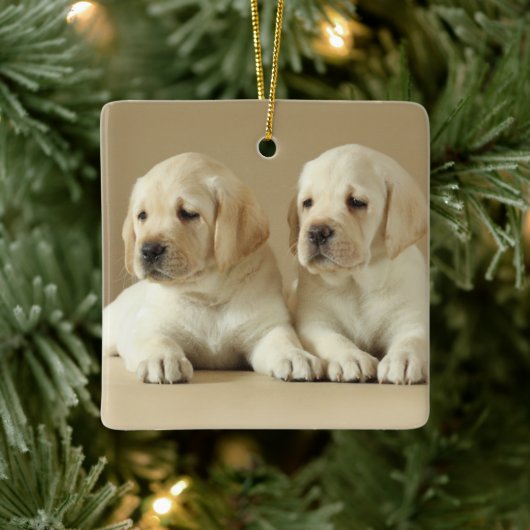Twee Golden Labrador Puppies Keramisch Ornament (Boom)
