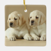 Twee Golden Labrador Puppies Keramisch Ornament (Voorkant)