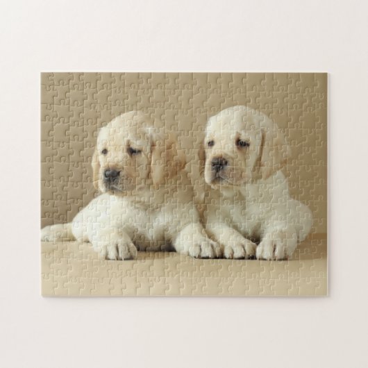 Twee Golden Labrador Puppies Legpuzzel (Horizontaal)