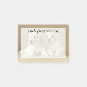 Twee Golden Labrador-Puppies Post-it® Notes (Voorkant)