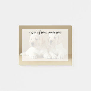 Twee Golden Labrador-Puppies Post-it® Notes