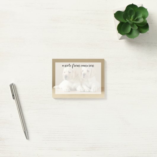 Twee Golden Labrador-Puppies Post-it® Notes (Kantoor)