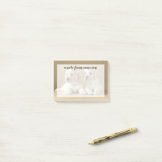 Twee Golden Labrador-Puppies Post-it® Notes (Op bureau)