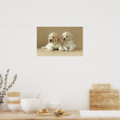 Twee Golden Labrador Puppies Poster (Keuken)