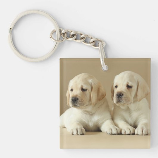 Twee Golden Labrador-Puppies Sleutelhanger (Voorkant)