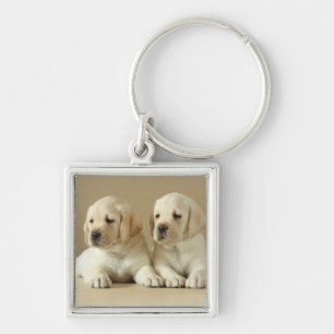 Twee Golden Labrador-Puppies Sleutelhanger