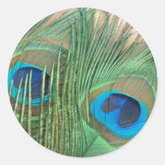 Twee Golden Peacock Feather Stickers (Voorkant)