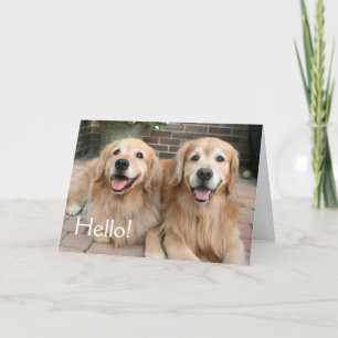Twee Golden Retriever Honden buiten het denken van Kaart