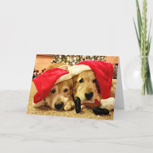 Twee Golden Retriever-honden in Kerstmis in Santa  Feestdagen Kaart (Voorkant)