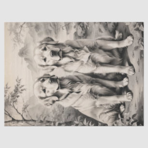 Twee Golden Retriever-honden portretteren weefselp Tissuepapier