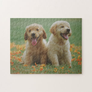 Twee Golden Retriever Puppies in Flowers Legpuzzel