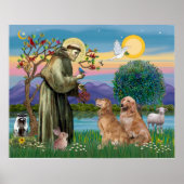 Twee Golden Retrievers Poster (Voorkant)