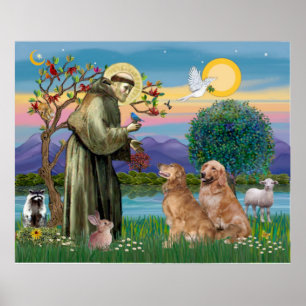 Twee Golden Retrievers Poster