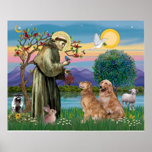 Twee Golden Retrievers Poster (Voorkant)