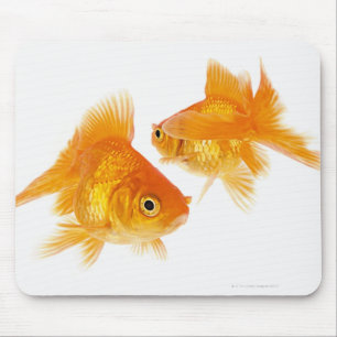Twee Goldfish die elkaar kruipen Muismat