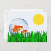 Twee Goldfish Sun Spring Equinox Grass س ن و ا ب ل Briefkaart (Voorkant / Achterkant)