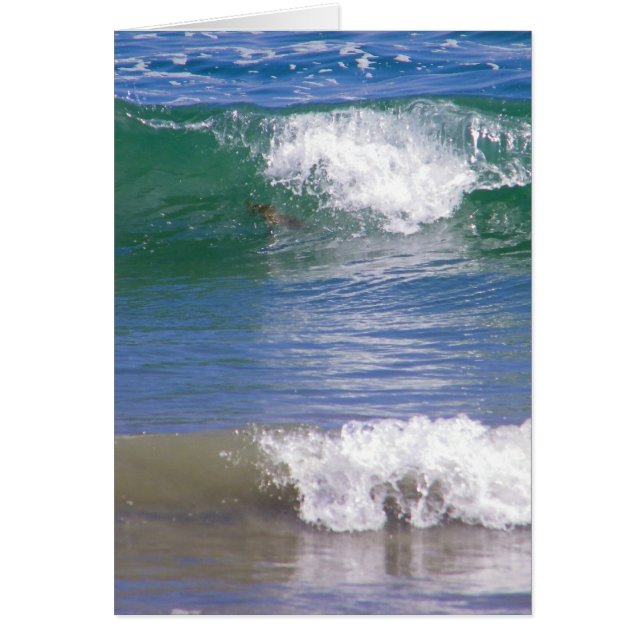 Twee golven (Voorkant)