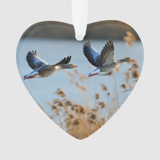 Twee Goose Wildlife Lake Dated Photo Custom Ornament (voorkant)