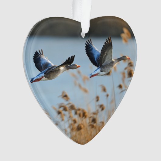 Twee Goose Wildlife Lake Dated Photo Custom Ornament (voorkant)