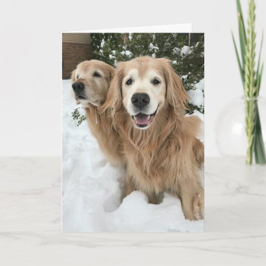 Twee gouden honden in de sneeuwwinter kaart (Voorkant)
