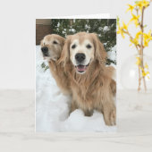 Twee gouden honden in de sneeuwwinter kaart (Gele Bloem)