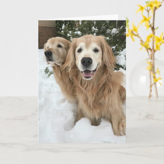 Twee gouden honden in de sneeuwwinter kaart (Gele Bloem)