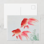 Twee goudmakreel  briefkaart (Voorkant / Achterkant)