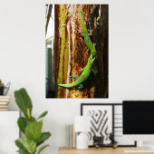 Twee goudstofdaggekko's Phelsuma Laticauda Poster (Thuiskantoor)