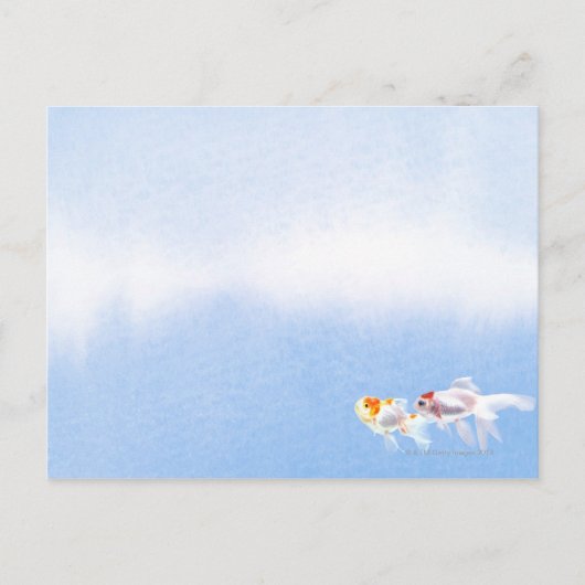 Twee goudvissen briefkaart (Voorkant)