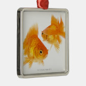 Twee goudvissen die elkaar kruisen metalen ornament (Rechts)