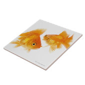 Twee goudvissen die elkaar kruisen tegeltje (Zijkant)