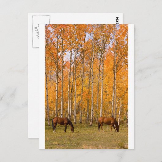 Twee graaspaarden in de herfst briefkaart (Voorkant / Achterkant)