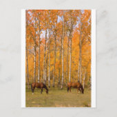 Twee graaspaarden in de herfst briefkaart (Voorkant)