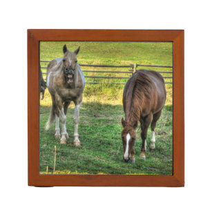 Twee grappige foto's van Ranch Horse Friends Pennenhouder