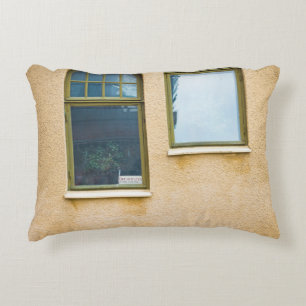 TWEE GRAY LIJST GLASS WINDOWS ACCENT KUSSEN