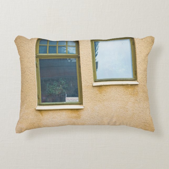 TWEE GRAY LIJST GLASS WINDOWS ACCENT KUSSEN (Voorkant)