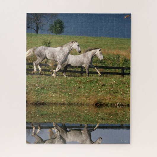Twee Gray Percheron-paarden met dappel Legpuzzel (Verticaal)