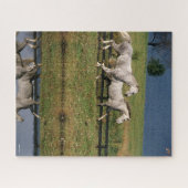 Twee Gray Percheron-paarden met dappel Legpuzzel (Horizontaal)